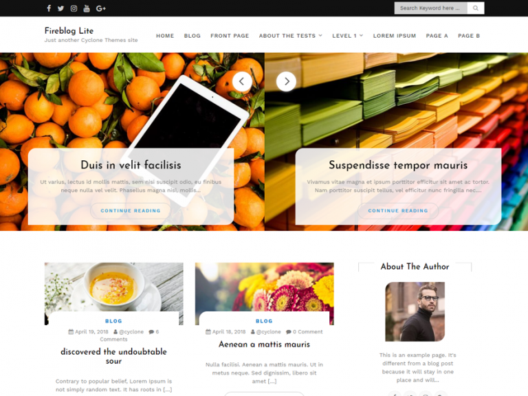 free blog themes